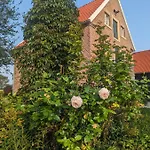 Alter Kornspeicher Im Muensterland *