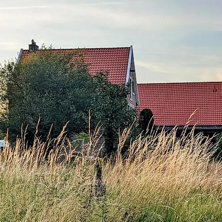شقة Alter Kornspeicher Im Muensterland جريفن