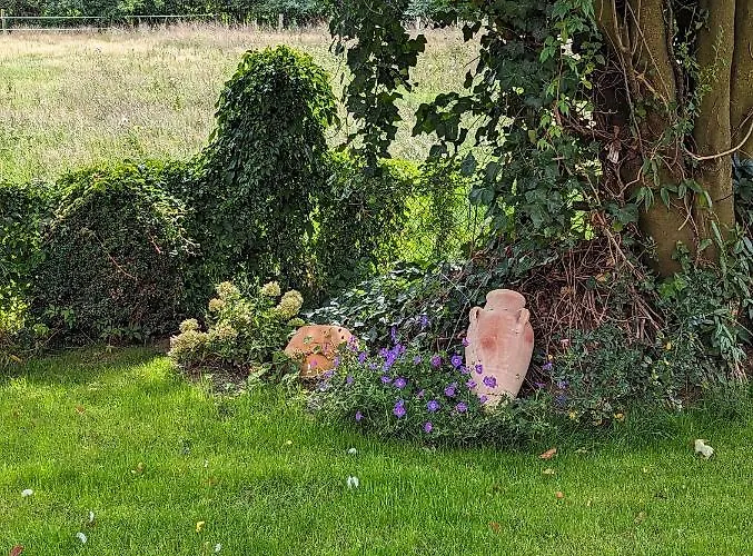 Apartman Alter Kornspeicher Im Muensterland *